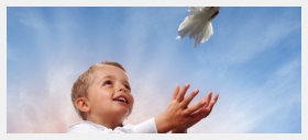 little boy with dove